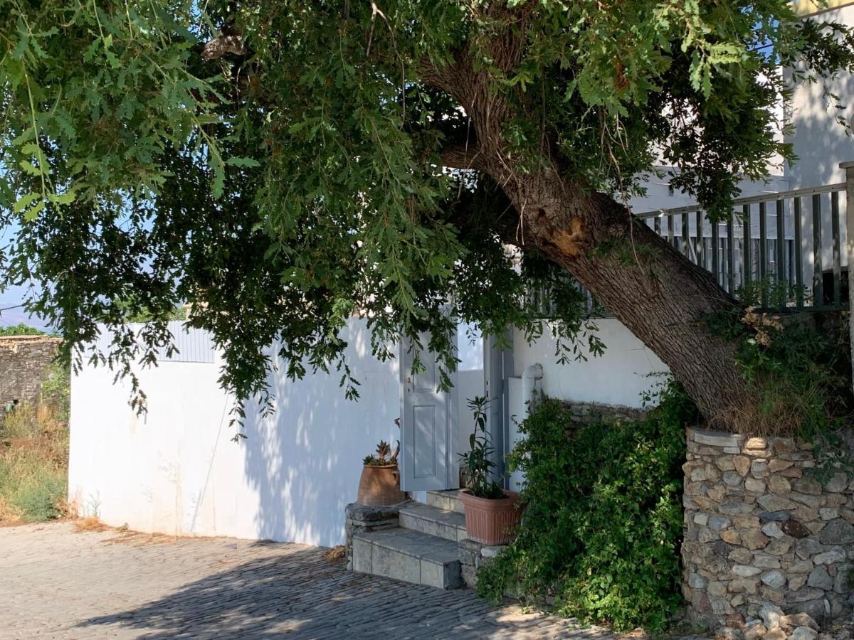 Moeses House Villa Asfendiou Dış mekan fotoğraf